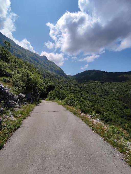 Nature Escape Montenegro Kotor Bagian luar foto