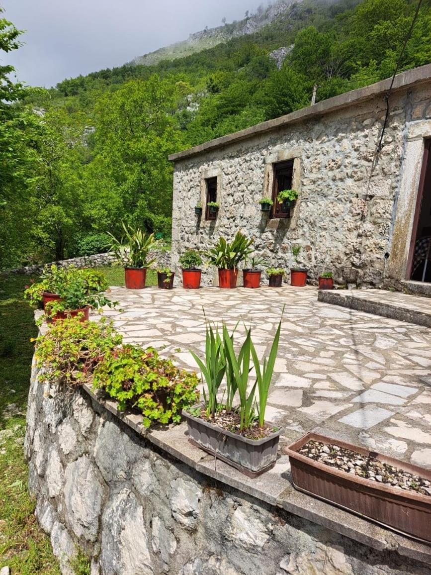 Nature Escape Montenegro Kotor Bagian luar foto