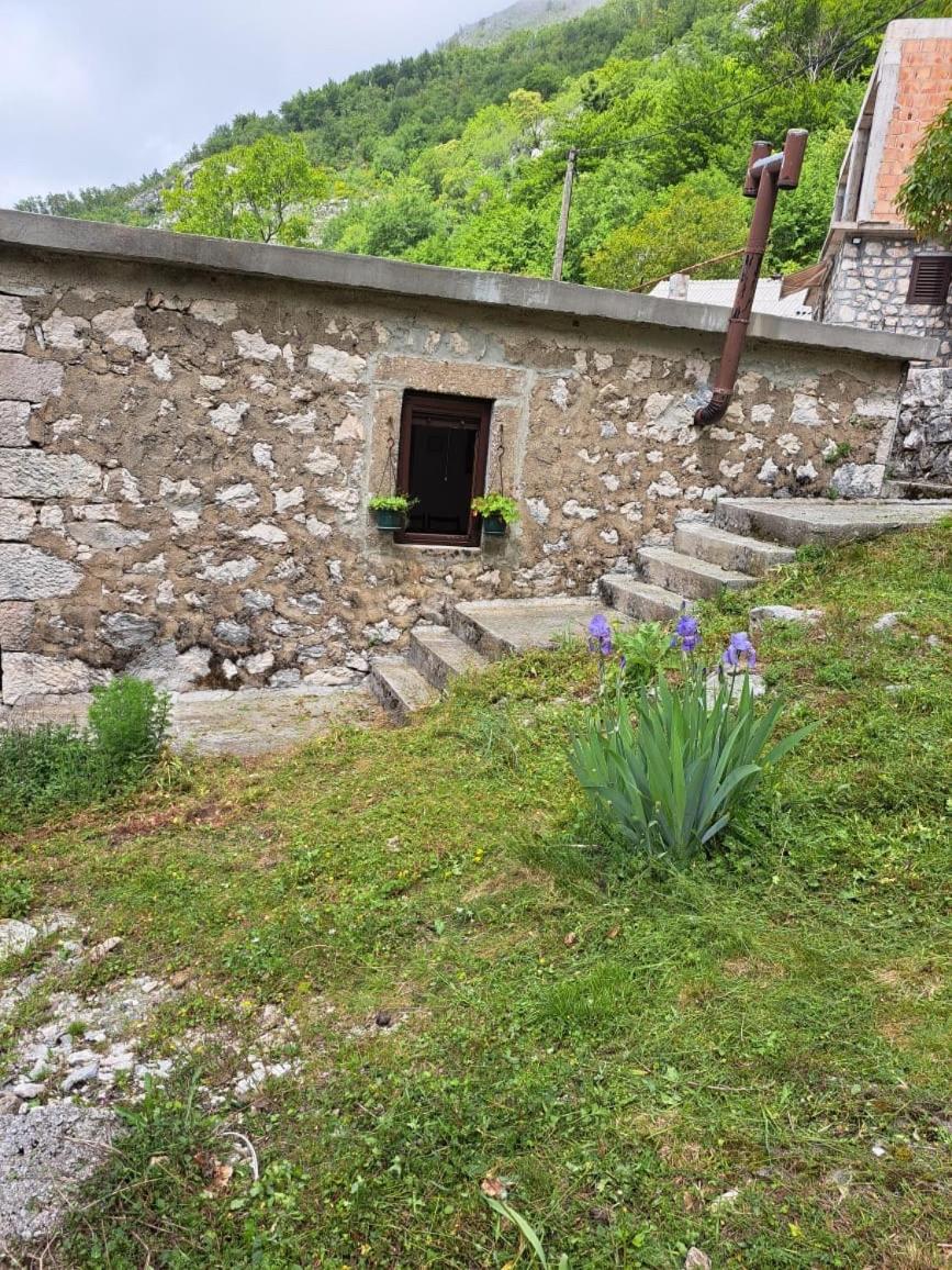 Nature Escape Montenegro Kotor Bagian luar foto