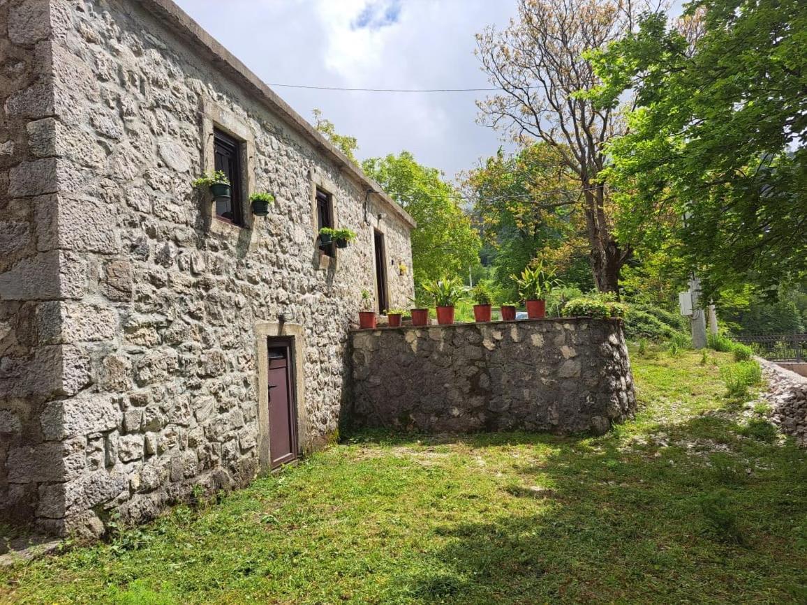 Nature Escape Montenegro Kotor Bagian luar foto