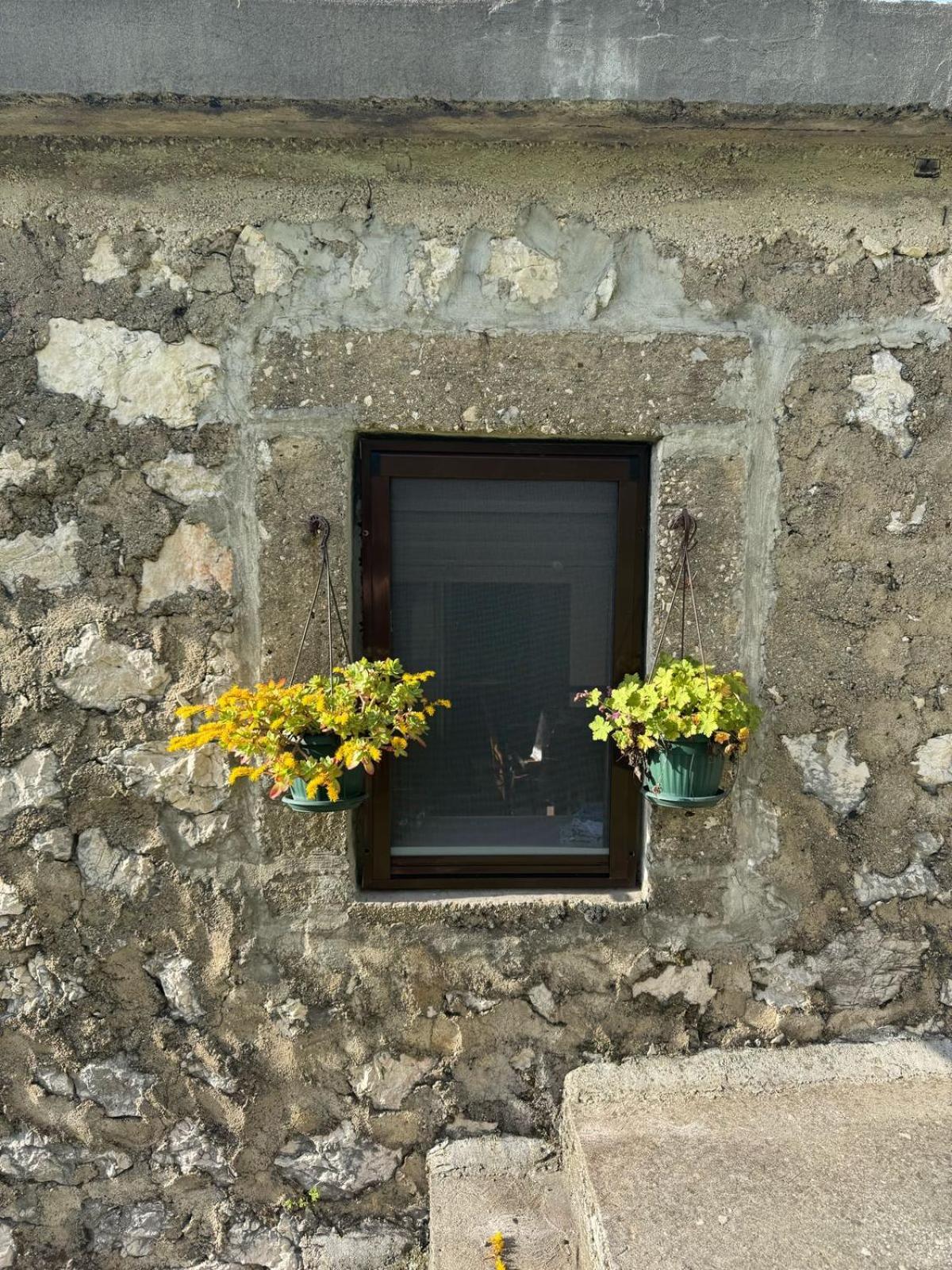 Nature Escape Montenegro Kotor Bagian luar foto