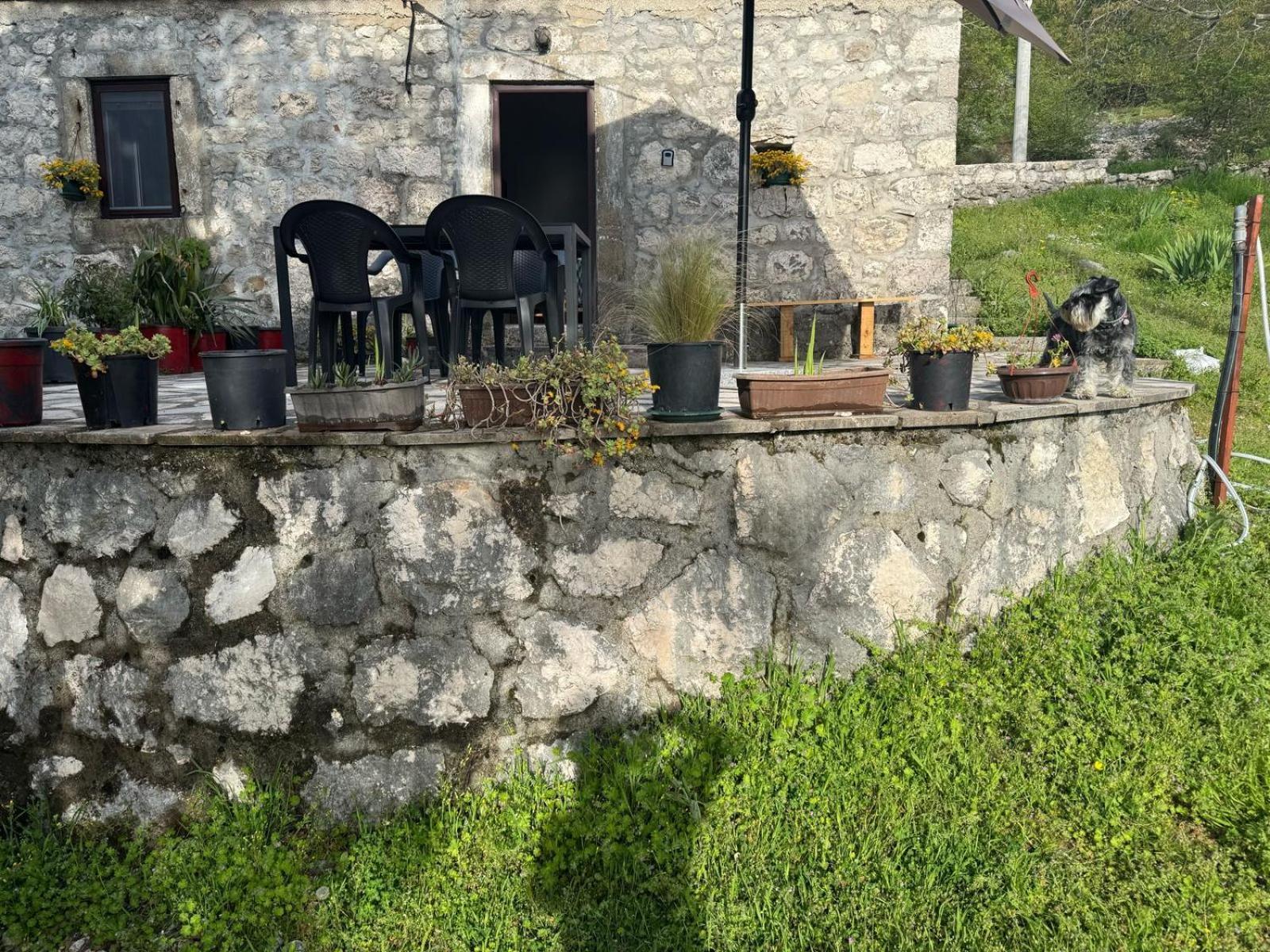 Nature Escape Montenegro Kotor Bagian luar foto