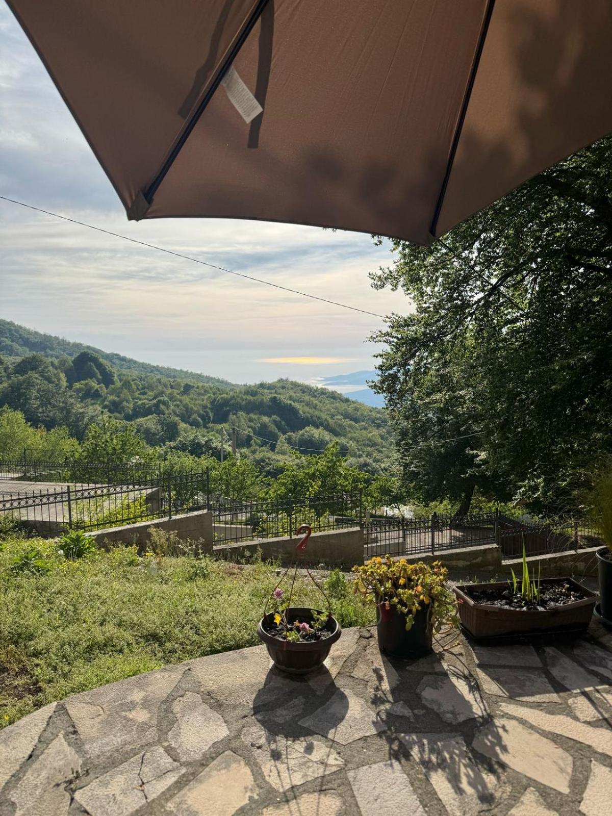 Nature Escape Montenegro Kotor Bagian luar foto