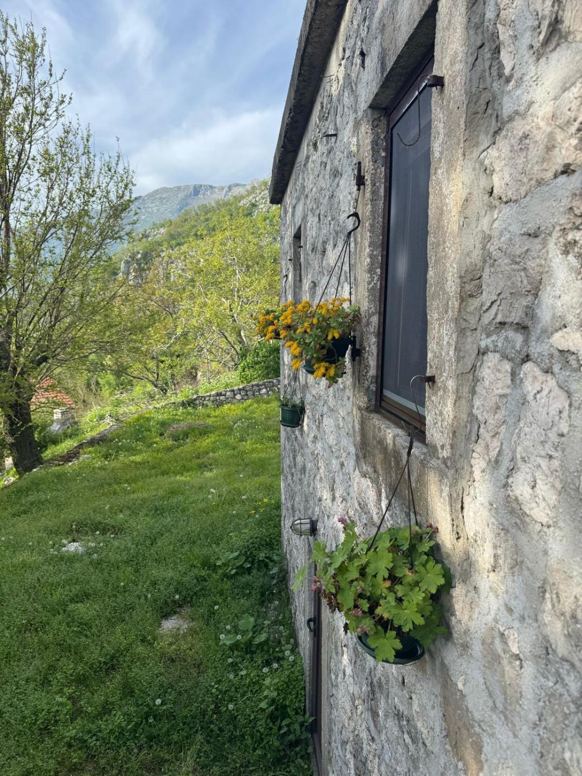 Nature Escape Montenegro Kotor Bagian luar foto